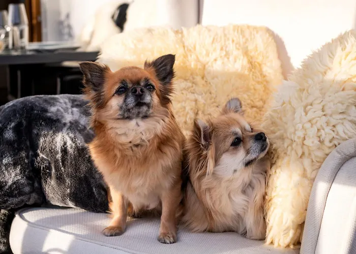 아파트 Alpenblick