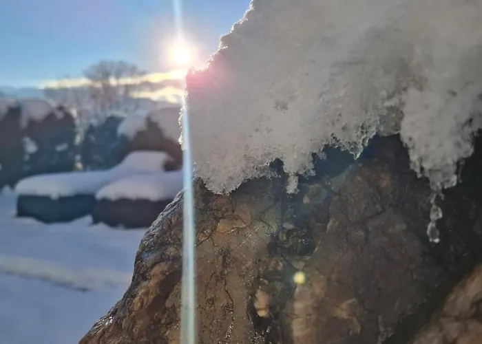 Alpenblick 아파트 브릭센임탈